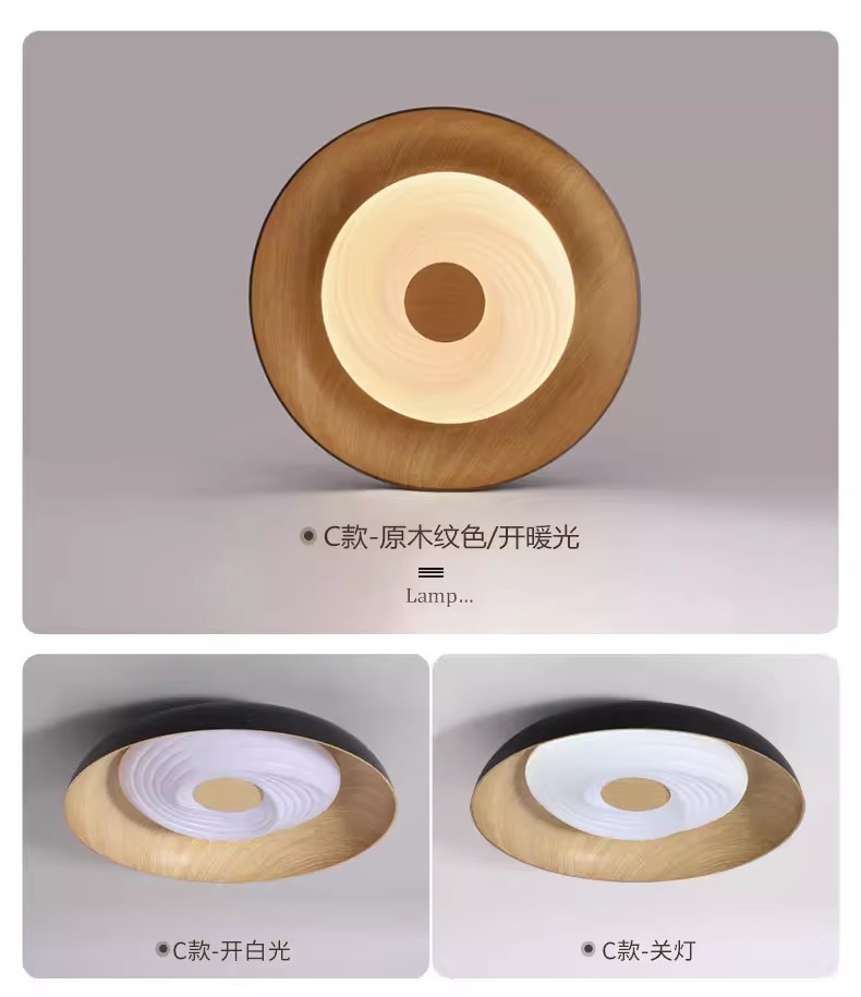 New Ceiling Lamp 2025 (5).jpg